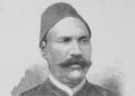 محمود سامي البارودي