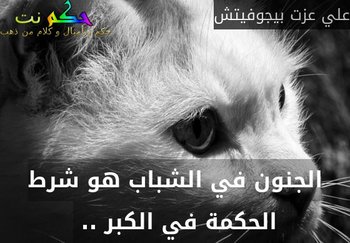 الجنون في الشباب هو شرط الحكمة في الكبر .. -علي عزت بيجوفيتش